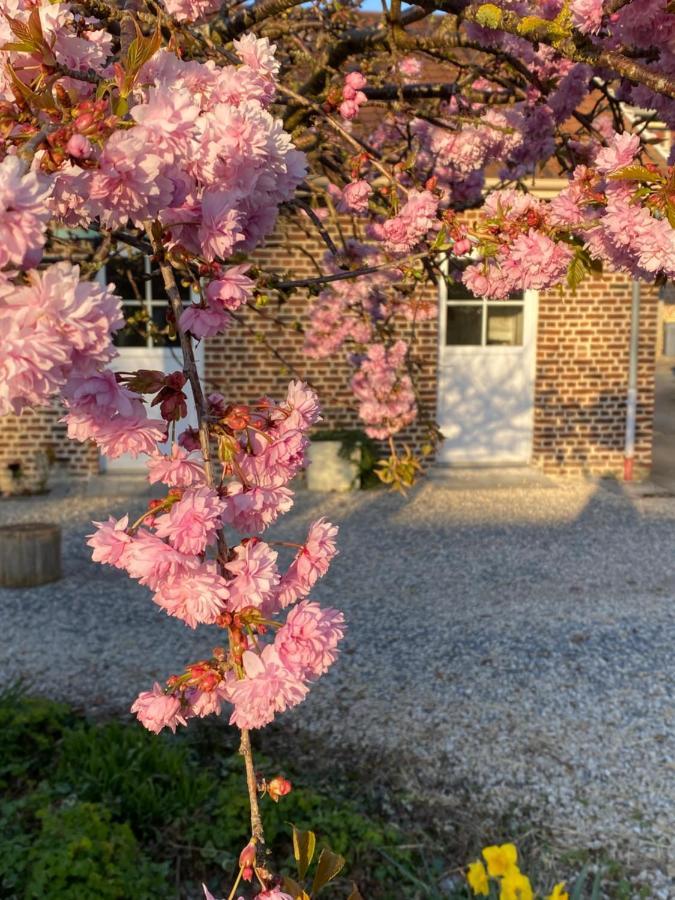 Le Domaine Des Saules Villa Richebourg  Екстериор снимка